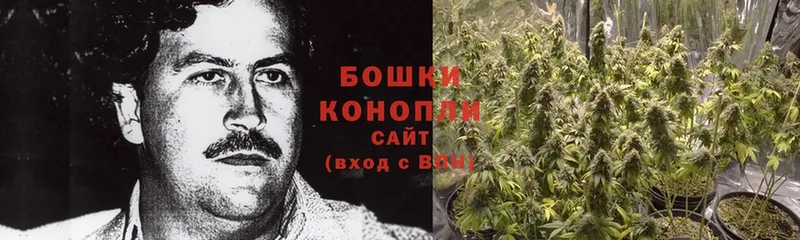 дарнет шоп  Муравленко  Конопля Ganja 